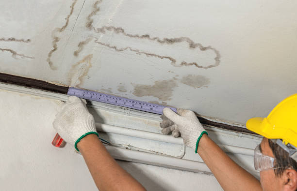 Reliable Basement Water Removal contractor in Carthage, TX by Water Damage Irwin